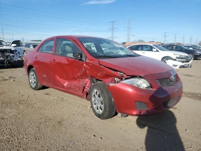 2010 Toyota Corolla Base