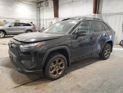 Vehiculos salvage en venta de Copart Milwaukee, WI: 2024 Toyota Rav4 Woodland Edition