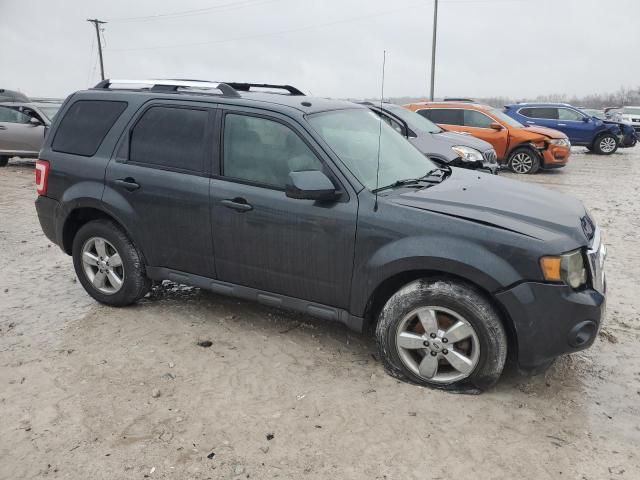 2009 Ford Escape Limited