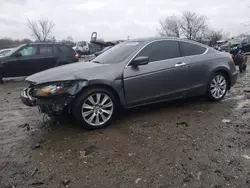 Salvage cars for sale at Baltimore, MD auction: 2010 Honda Accord EXL