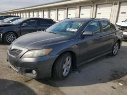 Salvage cars for sale at Louisville, KY auction: 2010 Toyota Camry Base