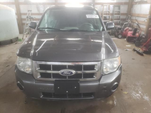 2010 Ford Escape XLS