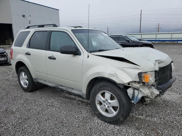 2009 Ford Escape XLT