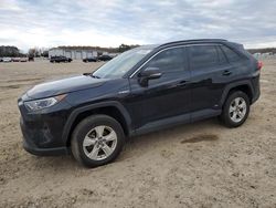 Salvage cars for sale at Conway, AR auction: 2021 Toyota Rav4 XLE