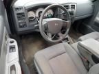 2007 Dodge Dakota SLT