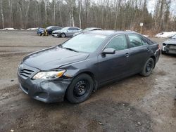 Salvage cars for sale at Cookstown, ON auction: 2011 Toyota Camry Base