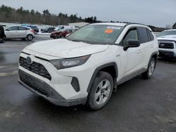 Salvage cars for sale at Windham, ME auction: 2019 Toyota Rav4 LE