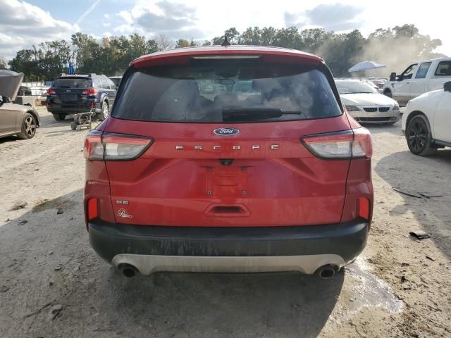 2021 Ford Escape SE