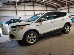 Salvage cars for sale at Pennsburg, PA auction: 2014 Ford Escape SE