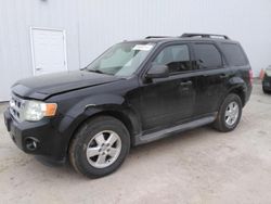 Ford salvage cars for sale: 2010 Ford Escape XLT