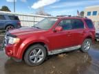 2009 Ford Escape Limited