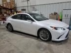 2022 Lexus ES 350 Base