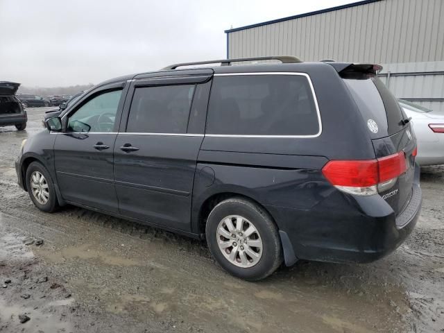 2008 Honda Odyssey EXL