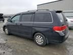 2008 Honda Odyssey EXL