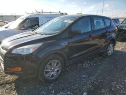 Ford salvage cars for sale: 2013 Ford Escape S