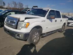 Salvage trucks for sale at Spartanburg, SC auction: 2013 Ford F150 Supercrew