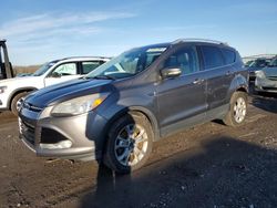 Salvage cars for sale from Copart Assonet, MA: 2014 Ford Escape Titanium