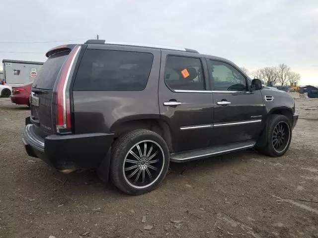 2010 Cadillac Escalade Luxury