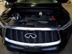 2024 Infiniti QX60 Pure