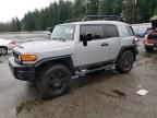 2007 Toyota FJ Cruiser