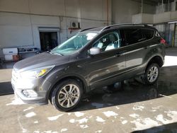 Salvage cars for sale at Littleton, CO auction: 2019 Ford Escape SEL