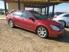 2008 Nissan Maxima SE