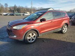 Salvage cars for sale at York Haven, PA auction: 2016 Ford Escape SE