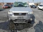 2006 Ford Escape XLT