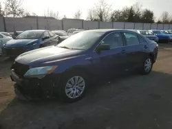 Toyota Vehiculos salvage en venta: 2008 Toyota Camry Hybrid