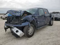 Salvage SUVs for sale at auction: 2014 Ford F150 Supercrew