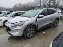 Ford Vehiculos salvage en venta: 2020 Ford Escape SEL