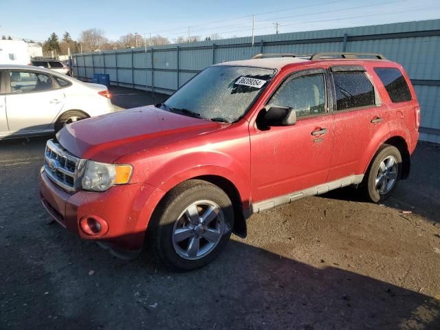 2010 Ford Escape XLT