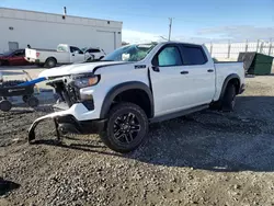 Salvage cars for sale at Farr West, UT auction: 2023 Chevrolet Silverado K1500 Trail Boss Custom