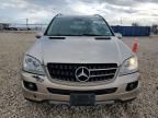 2006 Mercedes-Benz ML 350