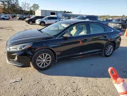 Salvage cars for sale at Harleyville, SC auction: 2019 Hyundai Sonata SE