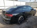 2024 Audi S5 Premium Plus