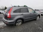 2010 Honda CR-V EXL