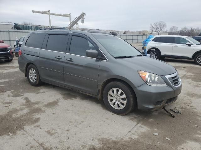 2008 Honda Odyssey EXL