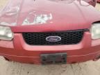 2006 Ford Escape Limited