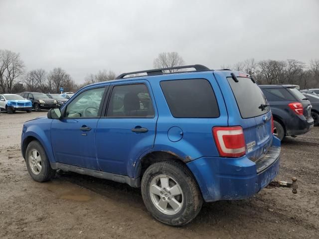 2011 Ford Escape XLT