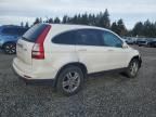 2011 Honda CR-V EXL