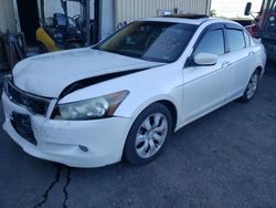 Honda salvage cars for sale: 2008 Honda Accord EXL