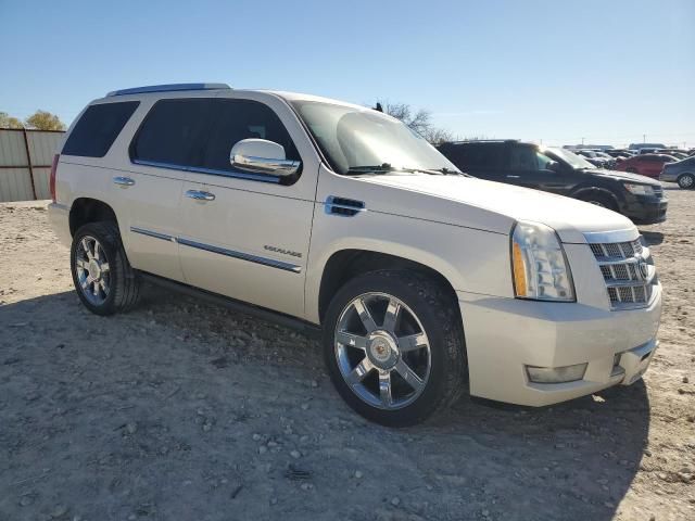 2014 Cadillac Escalade Platinum