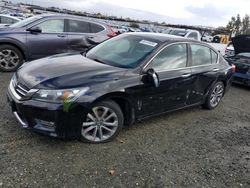 Salvage cars for sale at Antelope, CA auction: 2013 Honda Accord Sport