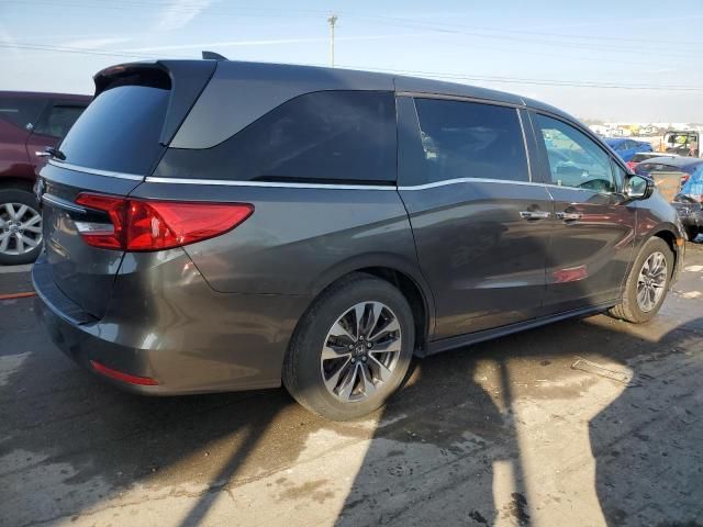 2022 Honda Odyssey EXL