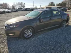 KIA Vehiculos salvage en venta: 2013 KIA Optima LX