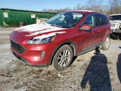 Ford Escape salvage cars for sale: 2021 Ford Escape SE