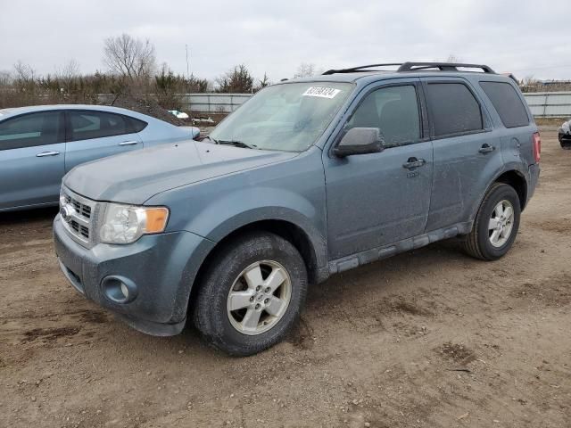 2010 Ford Escape XLT