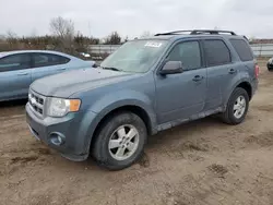 2010 Ford Escape XLT en venta en Columbia Station, OH