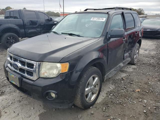 2009 Ford Escape XLT